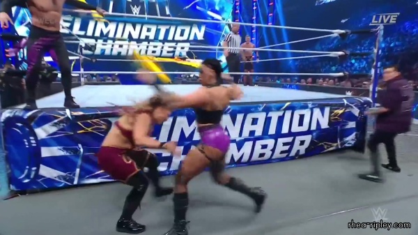 WWE_Elimination_Chamber_2023_1080p_HDTV-FMN_2406.jpg