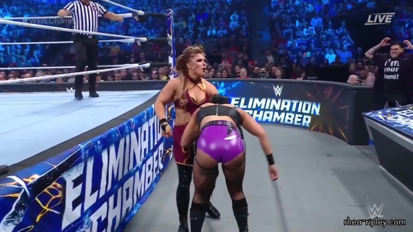 WWE_Elimination_Chamber_2023_1080p_HDTV-FMN_2414.jpg