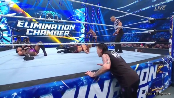 WWE_Elimination_Chamber_2023_1080p_HDTV-FMN_2865.jpg