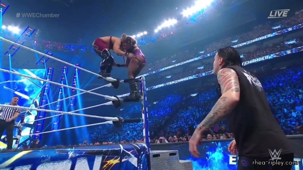 WWE_Elimination_Chamber_2023_1080p_HDTV-FMN_3178.jpg