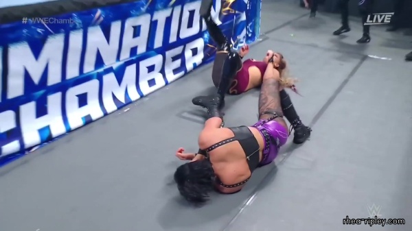 WWE_Elimination_Chamber_2023_1080p_HDTV-FMN_3629.jpg