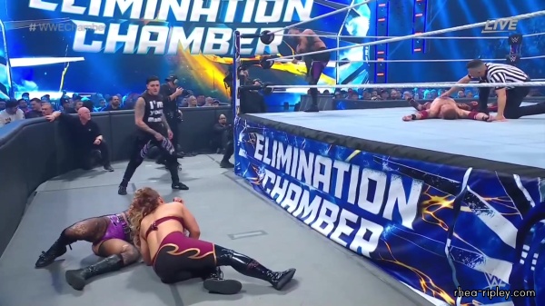 WWE_Elimination_Chamber_2023_1080p_HDTV-FMN_3657.jpg