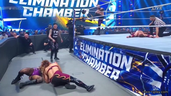 WWE_Elimination_Chamber_2023_1080p_HDTV-FMN_3658.jpg