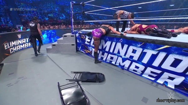 WWE_Elimination_Chamber_2023_1080p_HDTV-FMN_3941.jpg