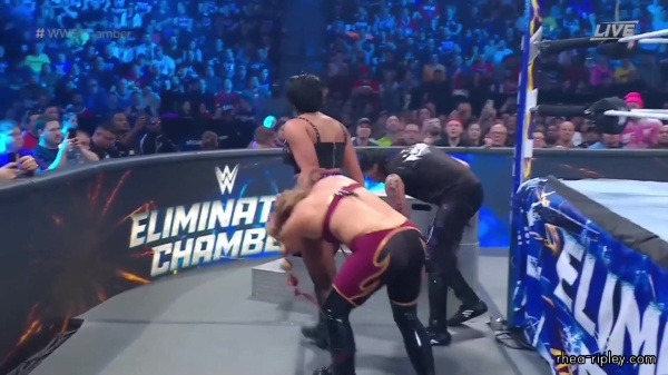 WWE_Elimination_Chamber_2023_1080p_HDTV-FMN_3978.jpg