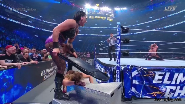 WWE_Elimination_Chamber_2023_1080p_HDTV-FMN_4030.jpg