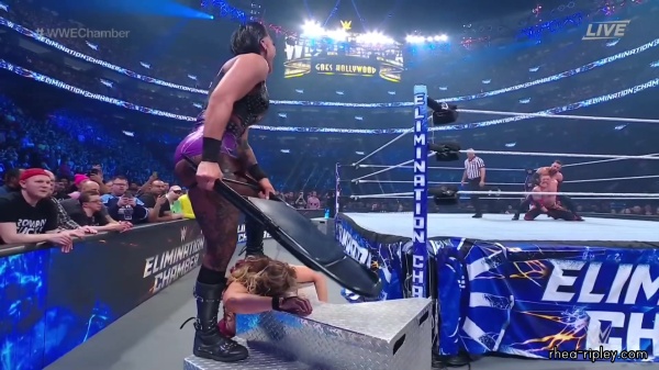 WWE_Elimination_Chamber_2023_1080p_HDTV-FMN_4042.jpg