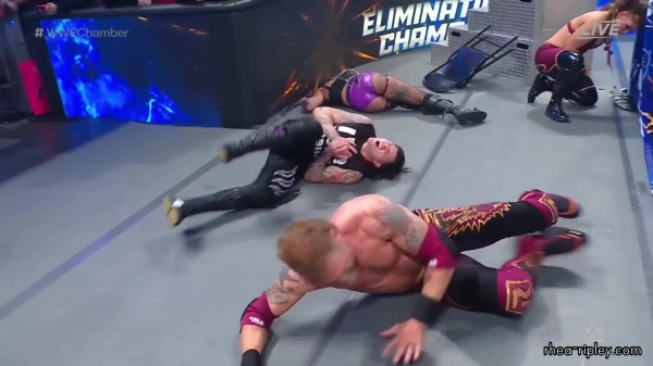 WWE_Elimination_Chamber_2023_1080p_HDTV-FMN_4138.jpg