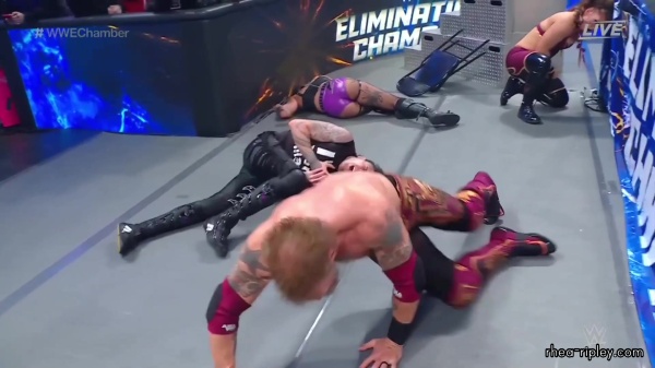 WWE_Elimination_Chamber_2023_1080p_HDTV-FMN_4139.jpg