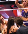 WWE_24_WrestleMania__The_Show_Must_Go_On_1669.jpg
