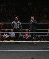 WWE_NXT_UK_FEB__202C_2019_0428.jpg