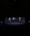 WWE_WORLDS_COLLIDE__NXT_VS__NXT_UK_JAN__252C_2020_0547.jpg