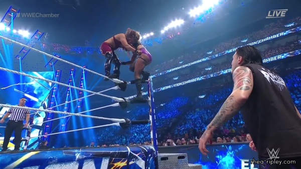 WWE_Elimination_Chamber_2023_1080p_HDTV-FMN_3183.jpg